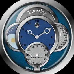 Circles by Tiger Watch Co.