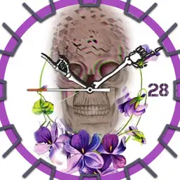 skull v.2