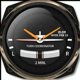 Turn Coordinator 1 _ Aircraft