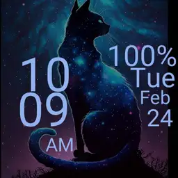 cat in space