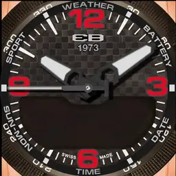 EB 1973 FCARBON 3 color