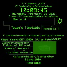 Shuy Terminal
