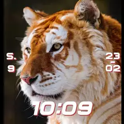 tigre