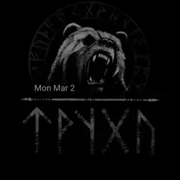 Nordic Bear