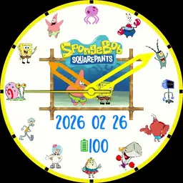 TS watch