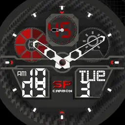 SP ARMOR 2