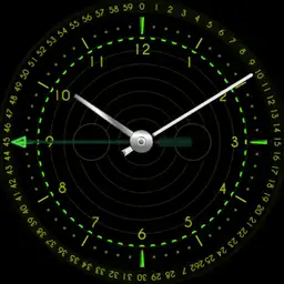 Gina Watch