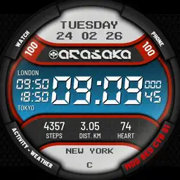 Arasaka Cyber 1.0