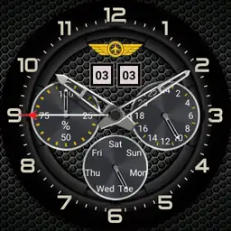 TS Watch