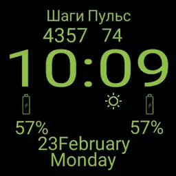 Navy Green Watch