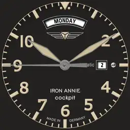 Iron Annie - Cockpit