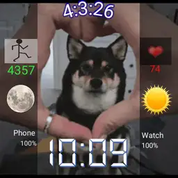Kiki Shiba