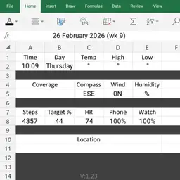 MS Excel
