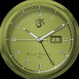 Black Radish Olive Tree