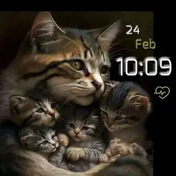cat mother