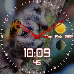 Tic 6 Spider GLADIS