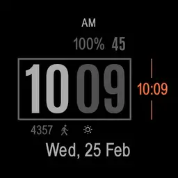 GARMIN Digital v1