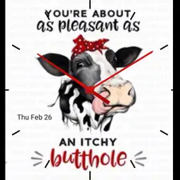 Sassy Cow