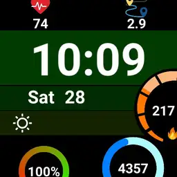mi wacht fit normal