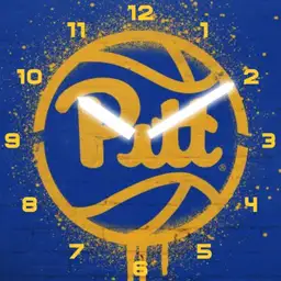 Pitt Panthers