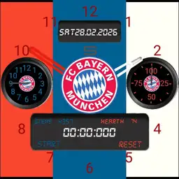 Bayern Muenchen Fan watch