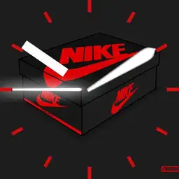 Nike Shoe box red and black