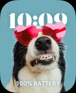 VALENTINES DOG