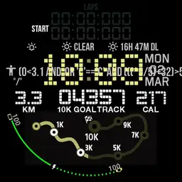 10K GOAL TRACK