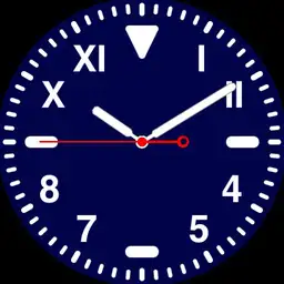 Navy Watch FINAL