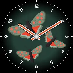 Pretty moths