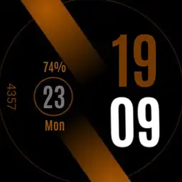 ticWatch
