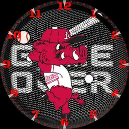 Arkansas Razorbacks NCAA baseball