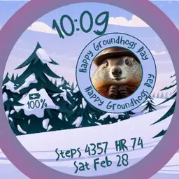 A Perplexed Punxsutawney Phil