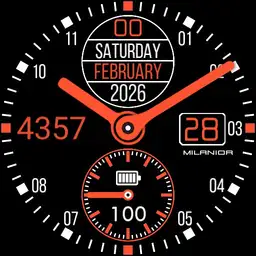 MS20221024E