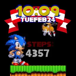 Sonic The Hedgehog Step Counter