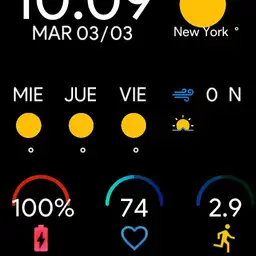 Mi Watch GTS 1.0 alvaro Copy
