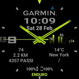 Savy Garmin2 simple gray, green, red Copy