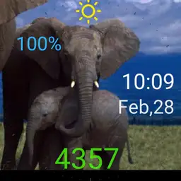Elephants