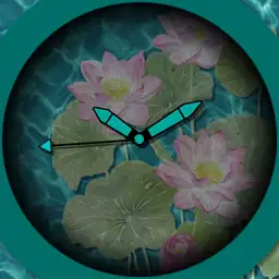 Pond V.2