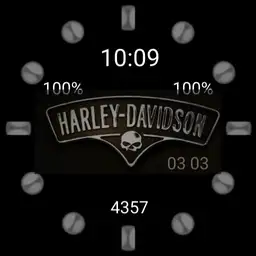 Silver Harley CVO