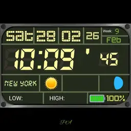 PA watch266