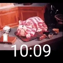 bagpuss