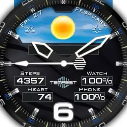 MSF Tempest no1