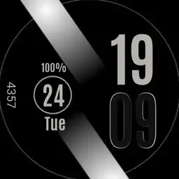 Ticwatch