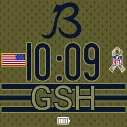 Bears Jersey Salute to Service 3 Copy