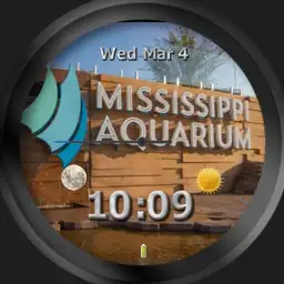 Msaquarium