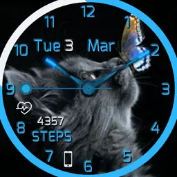 brit blue cat 2