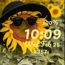 Sunflower