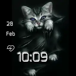 brit black kitten