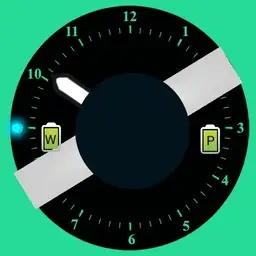 Toroidal Spin